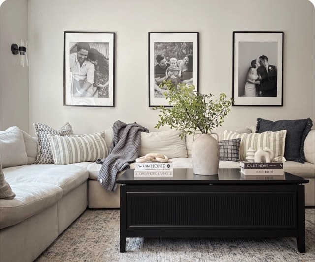 Neutral living room with sofa and coffee table